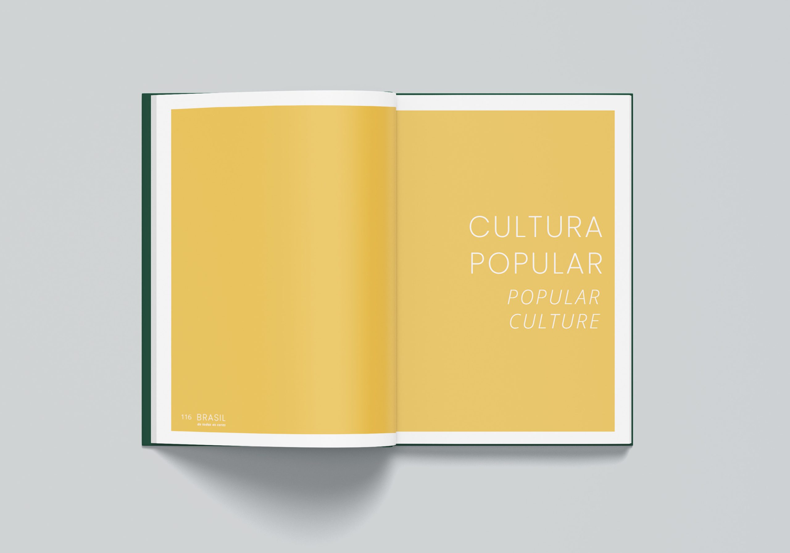 Novo_Brasil_de_Todas_as_Cores_03