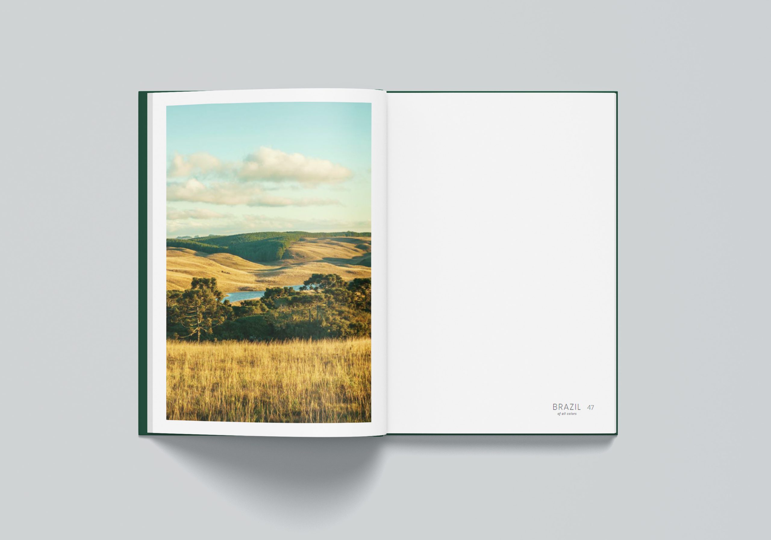 Novo_Brasil_de_Todas_as_Cores_05